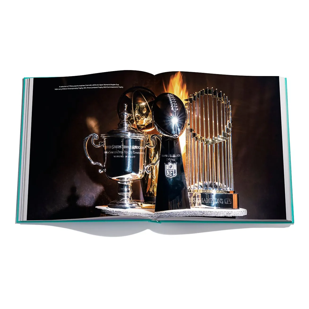 Tiffany & Co. Assouline "Crafting Victory" at Book | ^ Tiffany Blue® Gifts|Decor