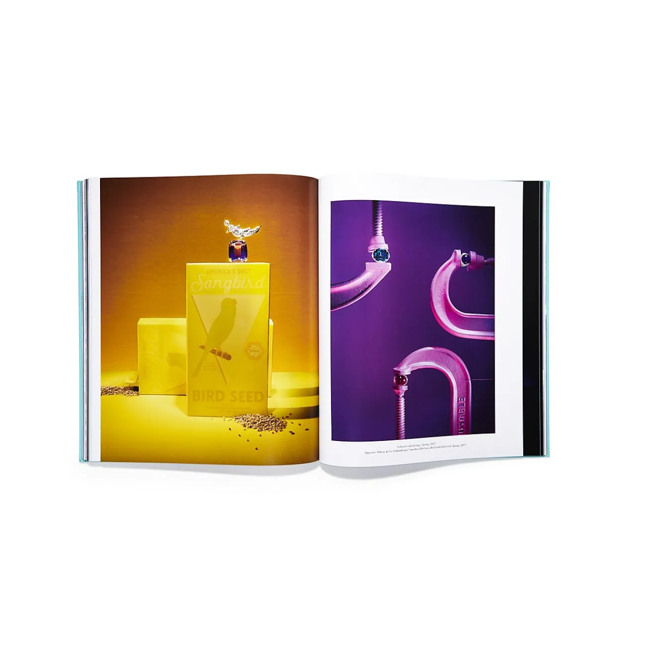 Tiffany & Co. Assouline Windows at book, Ultimate Collection edition. | ^ The Home|Housewarming Gifts