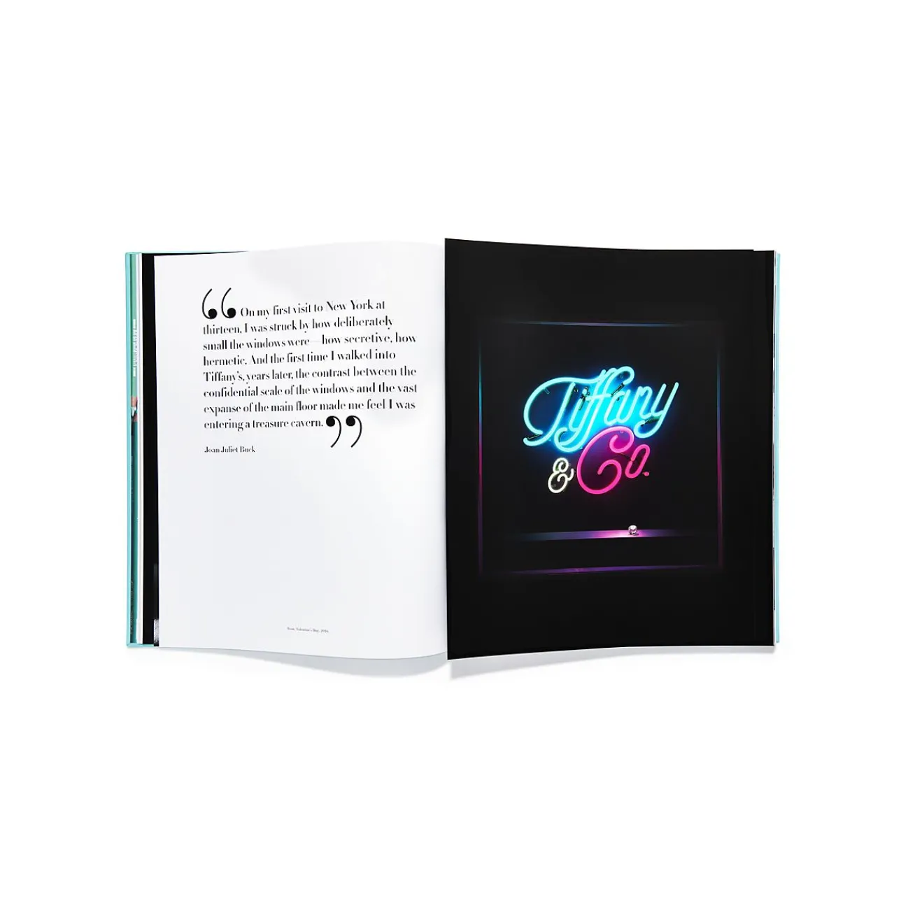 Tiffany & Co. Assouline Windows at book, Ultimate Collection edition. | ^ The Home|Housewarming Gifts