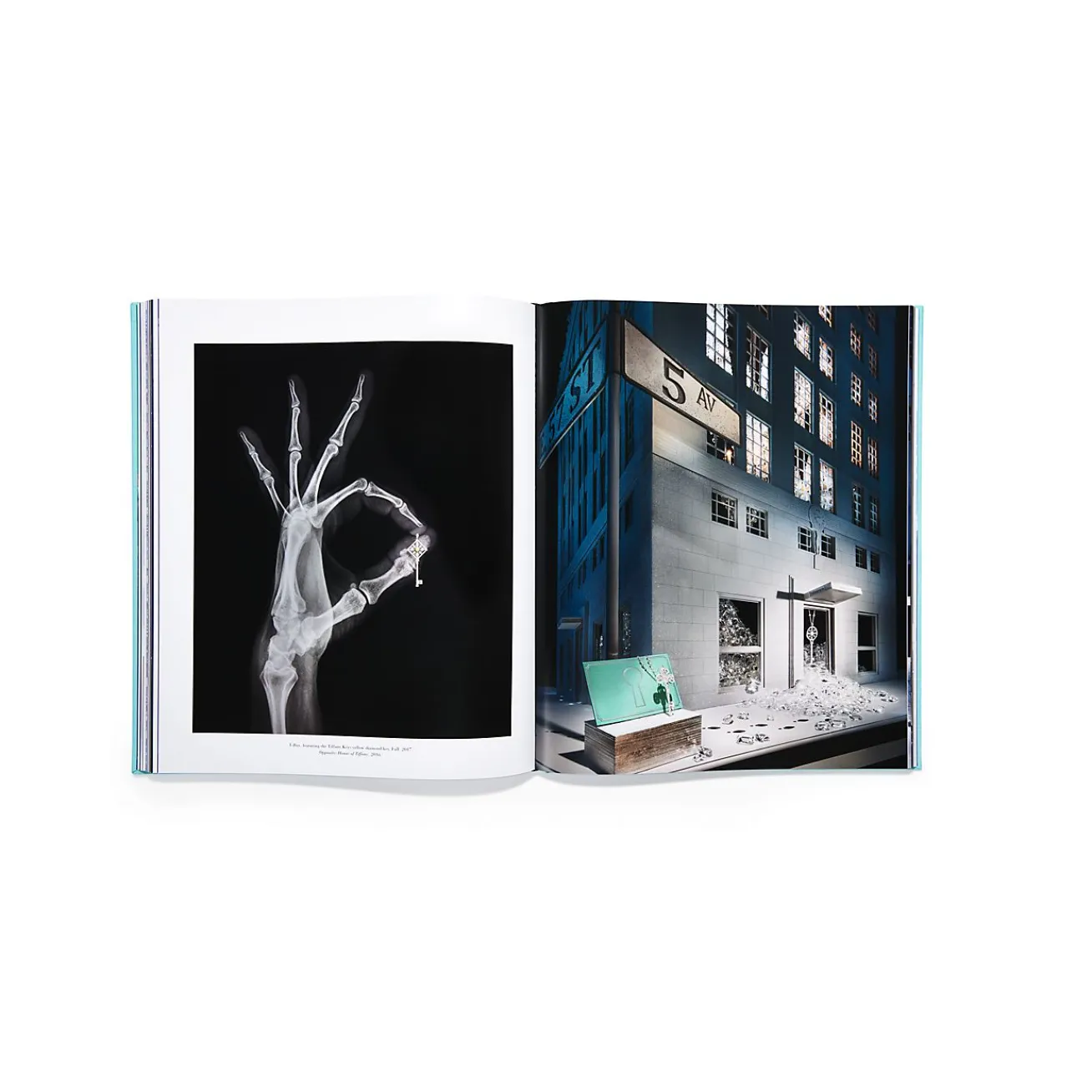 Tiffany & Co. Assouline Windows at book, Ultimate Collection edition. | ^ The Home|Housewarming Gifts