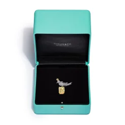 Tiffany & Co. Brooch in Platinum & Gold with a Fancy Intense Yellow Diamond and White Diamonds | ^ Brooches|Gold Jewelry