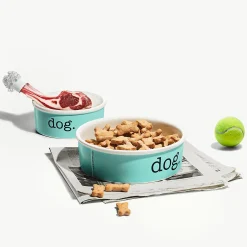 Tiffany & Co. Dog bowl in bone china, small. | ^ Tiffany Blue® Gifts|Stationery, Games & Unique Objects