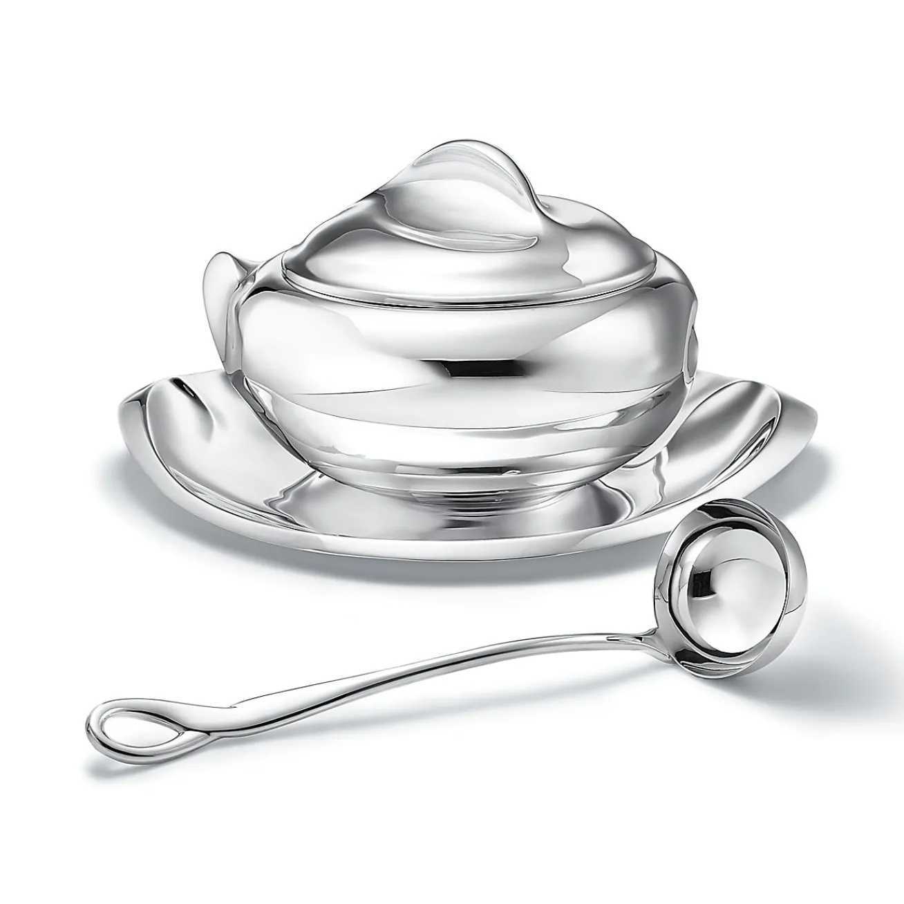 Tiffany & Co. Elsa Peretti® Padova™ ladle in sterling silver. | ^ Elsa Peretti®|Tableware