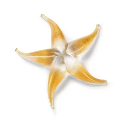Tiffany & Co. Elsa Peretti® Starfish in handmade, mouth-blown Venetian glass. | ^ Decor|Elsa Peretti Home