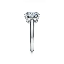 Tiffany & Co. Oval-cut diamond engagement ring in platinum. | ^ Engagement Rings