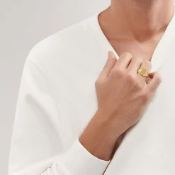 Tiffany & Co. Signet ring in 18k gold. | ^ Rings|Men's Jewelry