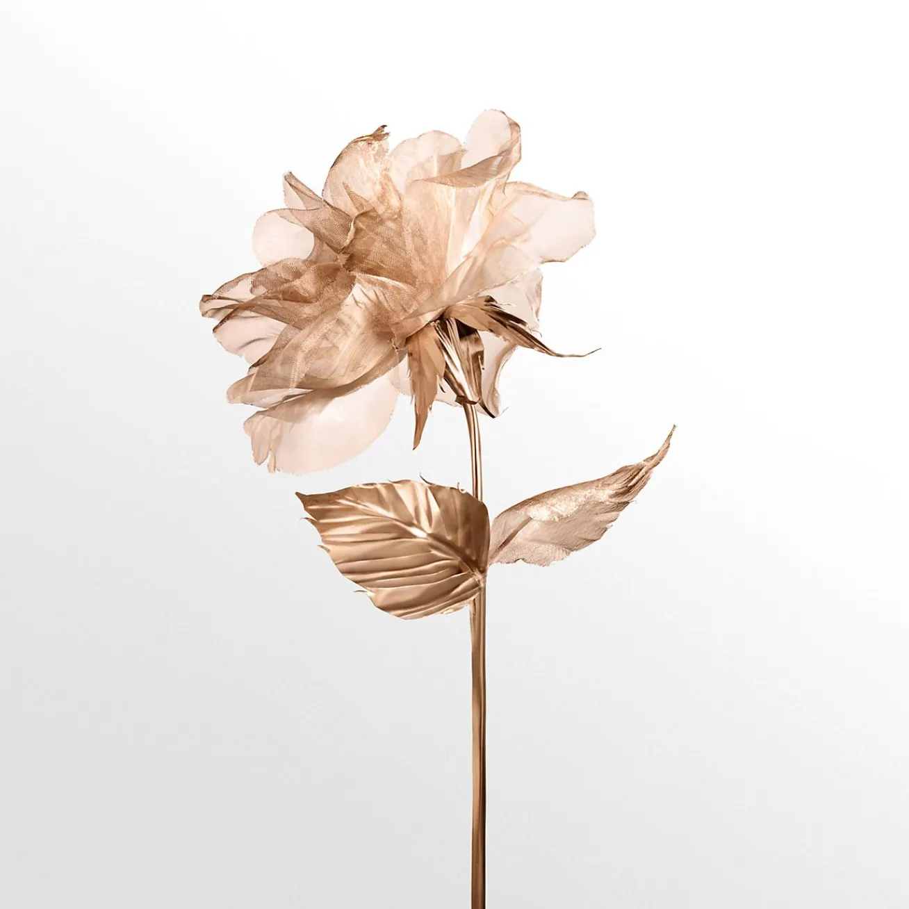 Tiffany & Co. Rose Gold Eau de Parfum, 1.6 oz. | ^ Tiffany Rose Gold