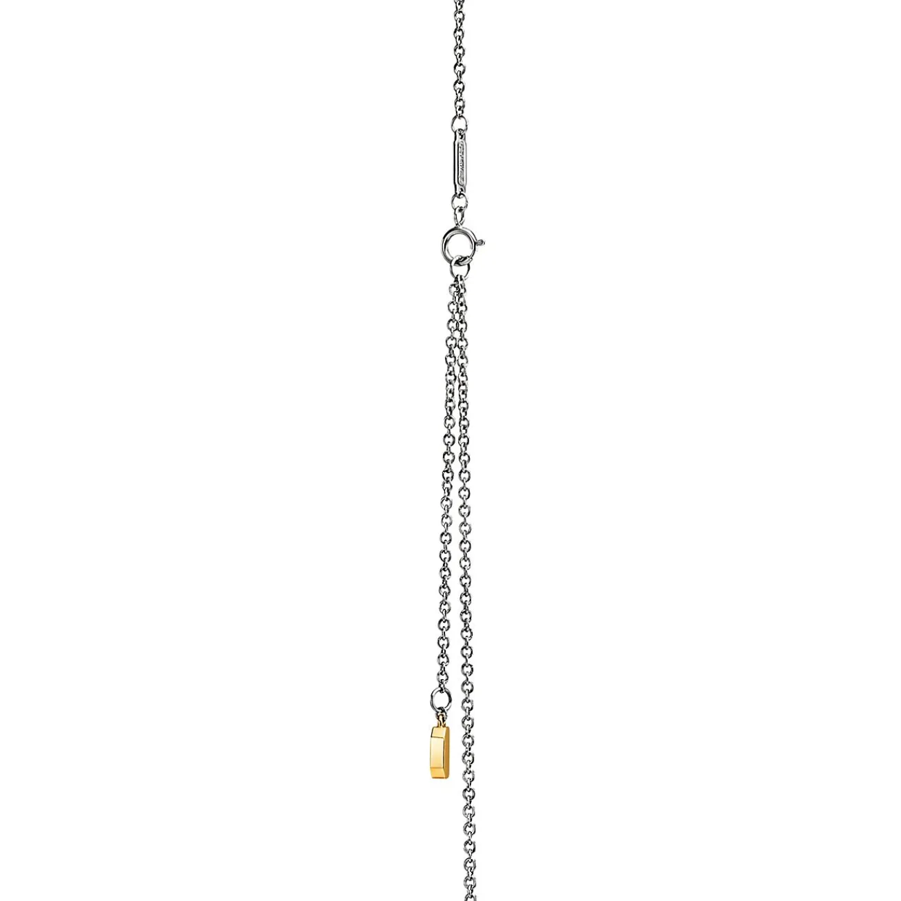 Tiffany & Co. Tiffany Edge Circle Pendant in Platinum and Yellow Gold with Diamonds, Large | ^ Necklaces & Pendants|Gold Jewelry