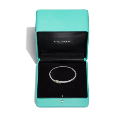 Tiffany & Co. Tiffany Edge Hinged Bypass Bangle in Platinum and Yellow Gold with Diamonds | ^ Bracelets|Gold Jewelry