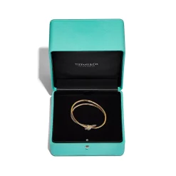 Tiffany & Co. Tiffany Knot Double Row Hinged Bangle in Yellow Gold with Diamonds | ^ Bracelets|Gold Jewelry