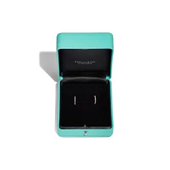 Tiffany & Co. Tiffany Metro Hoop Earrings in Rose Gold with Diamonds, Small | ^ Earrings|Gifts for Her