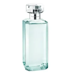 Tiffany & Co. Tiffany shower gel, 6.7 ounces. | ^ The Couple|Tiffany Signature