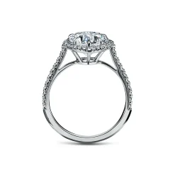 Tiffany & Co. Tiffany Soleste® heart-shaped halo engagement ring with a diamond platinum band. | ^ Engagement Rings