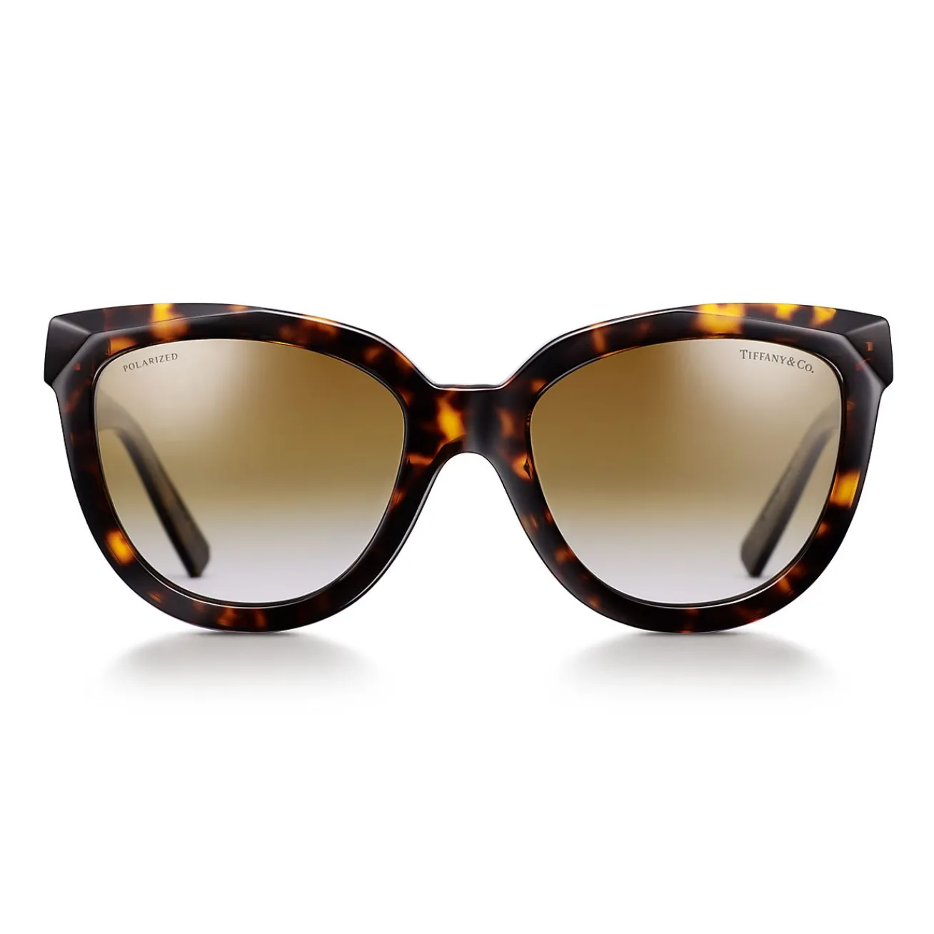 Tiffany & Co. Tiffany T True Sunglasses in Tortoise Acetate with Brown Gradient Lenses | ^Women Tiffany T|Sunglasses