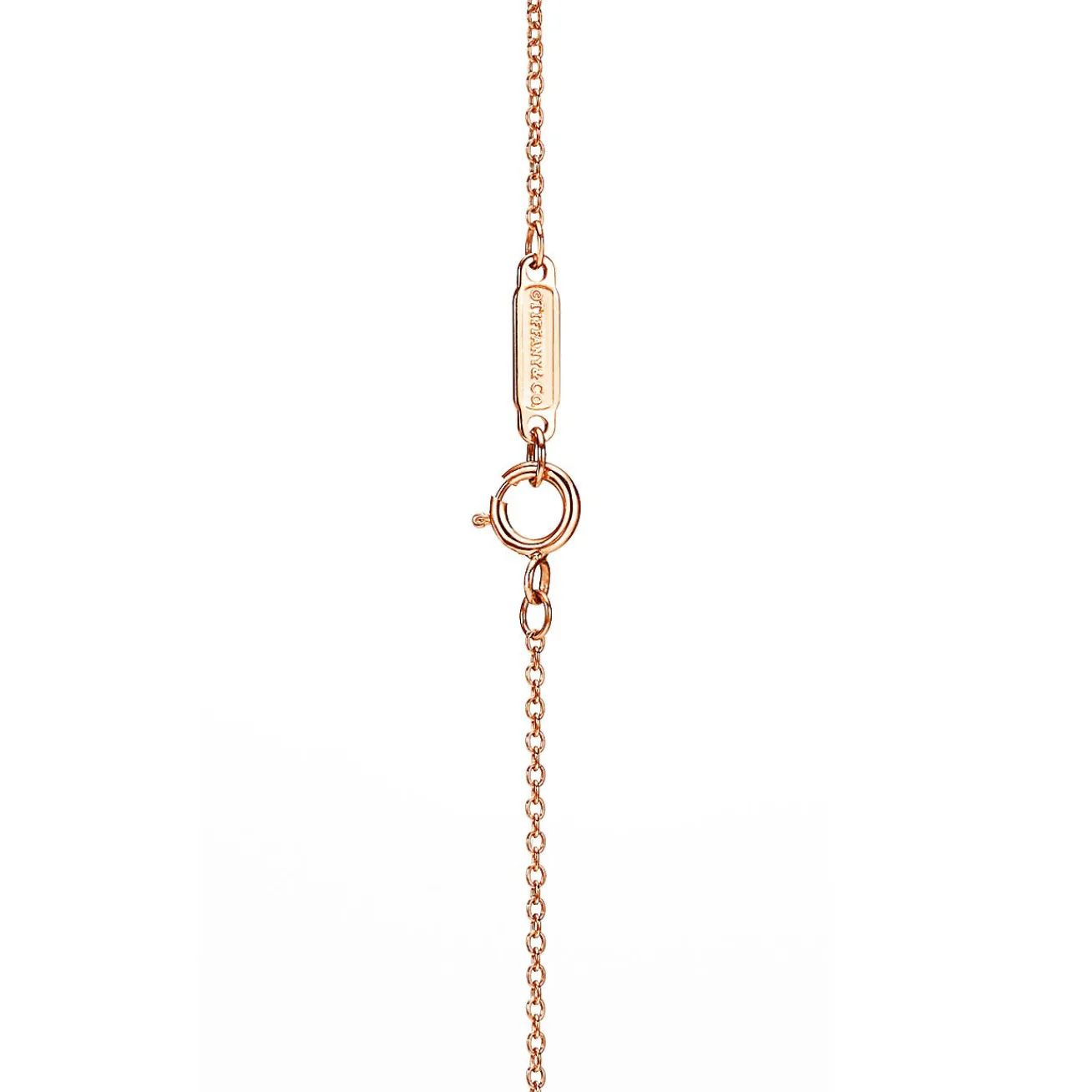 Tiffany & Co. Tiffany Victoria® diamond vine circle pendant in 18k rose gold, small. | ^ Necklaces & Pendants|Gifts for Her