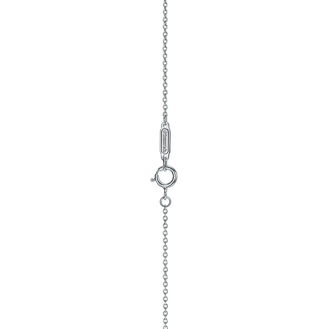 Tiffany & Co. Tiffany Victoria® diamond vine circle pendant in platinum, large. | ^ Necklaces & Pendants|Dainty Jewelry