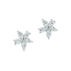 Tiffany & Co. Tiffany Victoria® Mixed Cluster Diamond Earrings | ^ Earrings|Platinum Jewelry