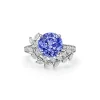 Tiffany & Co. Tiffany Victoria® Vine Ring in Platinum with a Tanzanite and Diamonds | ^ Rings|Platinum Jewelry