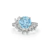 Tiffany & Co. Tiffany Victoria® Vine Ring in Platinum with an Aquamarine and Diamonds | ^ Rings|Platinum Jewelry